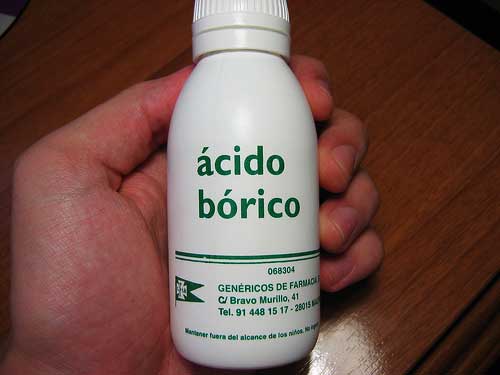 acido-borico-para-hormigas