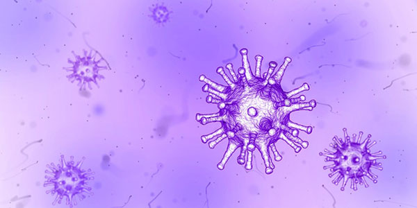 Virus de la gripe en colegios
