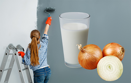 Eliminar olor a pintura con leche o cebolla